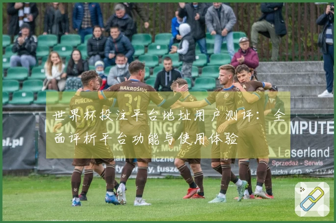 世界杯投注平台地址用户测评：全面评析平台功能与使用体验