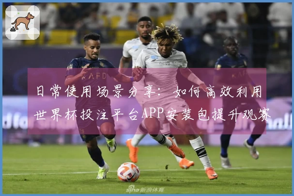 日常使用场景分享：如何高效利用世界杯投注平台APP安装包提升观赛体验