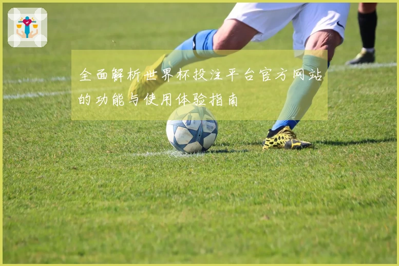 全面解析世界杯投注平台官方网站的功能与使用体验指南