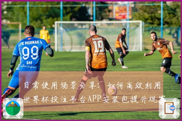 日常使用场景分享：如何高效利用世界杯投注平台APP安装包提升观赛体验