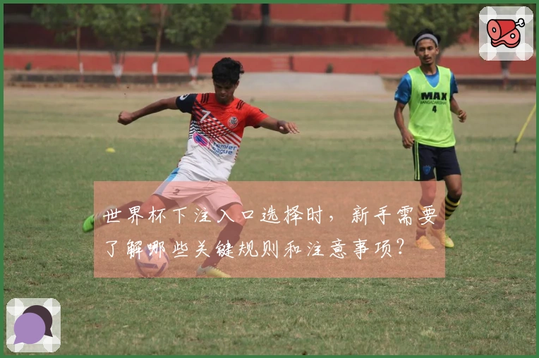 世界杯下注入口选择时,新手需要了解哪些关键规则和注意事项?