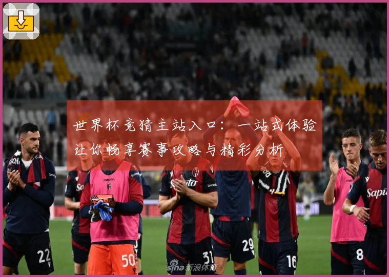 世界杯竞猜主站入口：一站式体验让你畅享赛事攻略与精彩分析