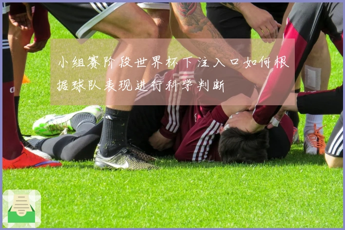 小组赛阶段世界杯下注入口如何根据球队表现进行科学判断