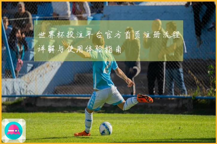 世界杯投注平台官方首页注册流程详解与使用体验指南