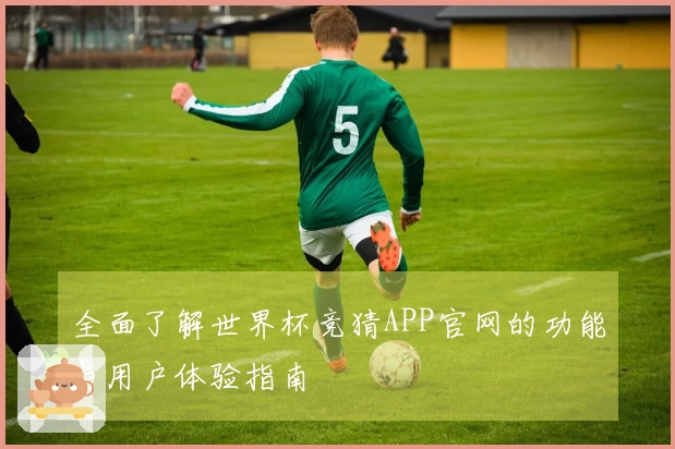 全面了解世界杯竞猜APP官网的功能与用户体验指南